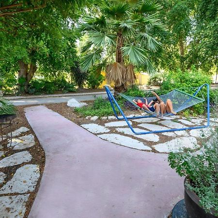 Jordan Valley Birding Lodge Kefar Ruppin Екстер'єр фото