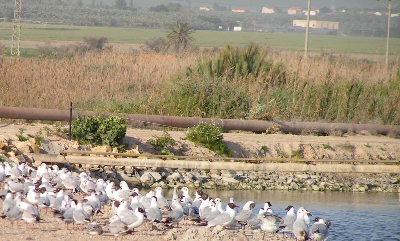 Jordan Valley Birding Lodge Kefar Ruppin Екстер'єр фото